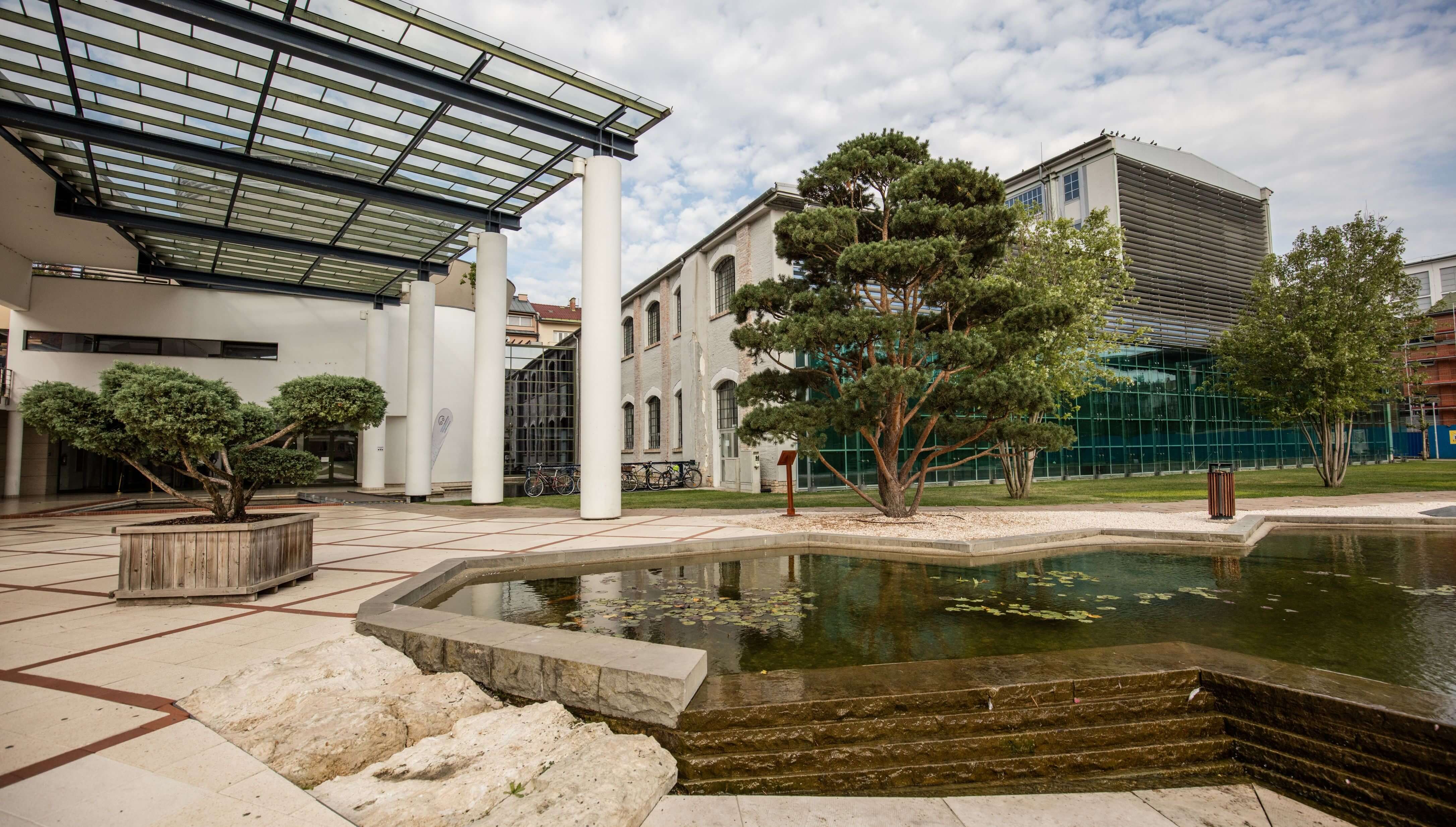 Emberakváriumok is találhatók a Millenáris Startup Campusában