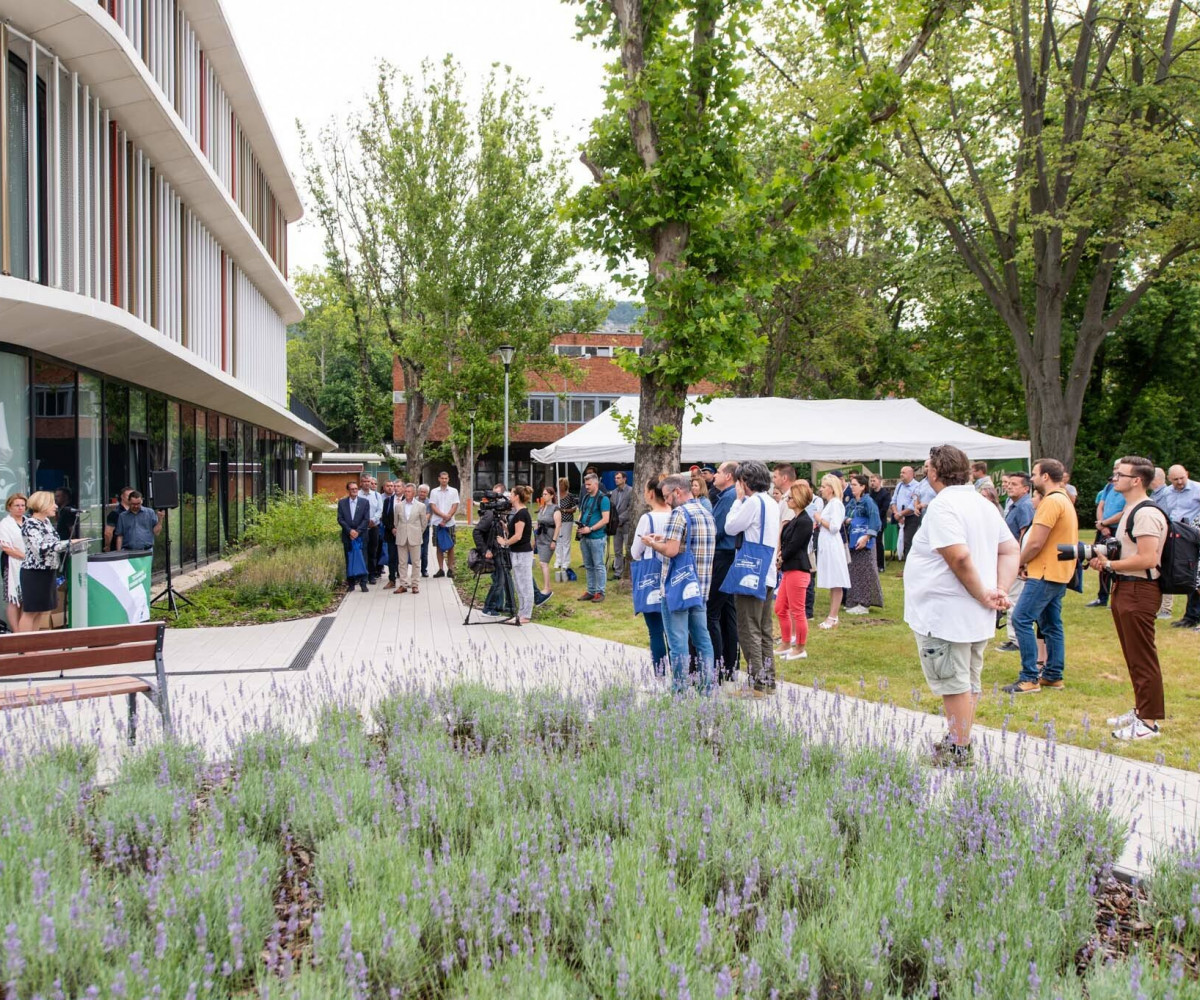 Zöldebb lett Tatabánya – parkosítással fejeződött be a városközpont fejlesztése